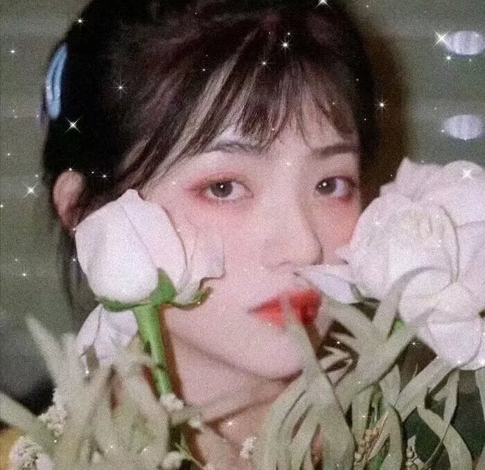 约会规则第五季